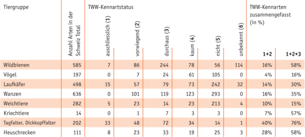 TWW Kennarten de zs.png