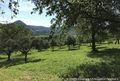 Obstgarten xj KadT 96 dpi.jpg