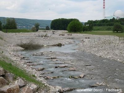 wernerdoenni Umgehungsgerinne Hochrhein 96 dpi.jpg