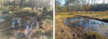 galerie20 tsunterhalt konkret hw 96 dpi.png