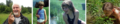 galerie22 motivation xj hw 96 dpi.png