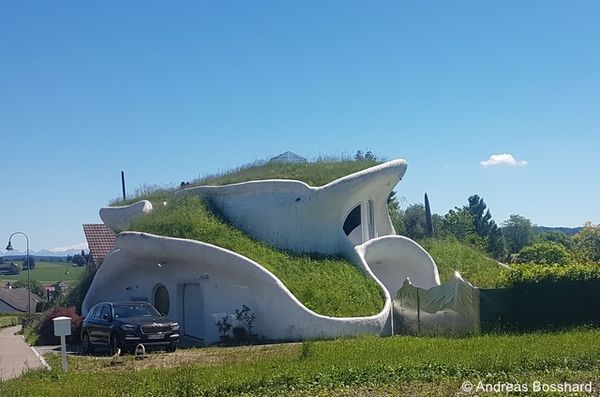 WiesenhausMatzingen auchHaeuser eignen sich fuer artenreiche Wiesen 96 dpi.jpg