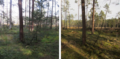 galerie17 holzschlag pp 96 dpi.png