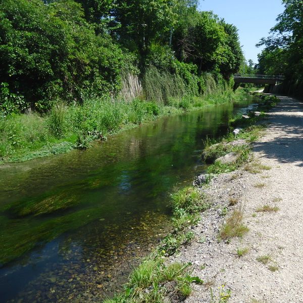 Fichier:Chriesbach ZH Verbaut Foto Aqua Viva.JPG