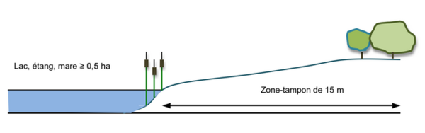 Schema Pufferzone Gewaesserufer hw.png