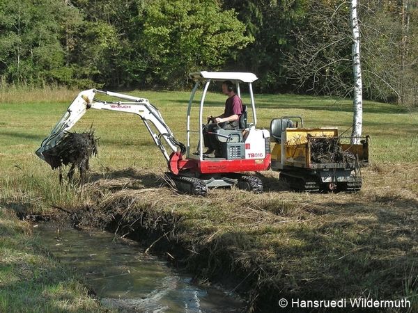 Baggerarbeit an Graben Chuderriet.H.Wildermuth.DSCN3327 96 dpi.jpg