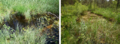 galerie18 torfstiche pp 96 dpi.png