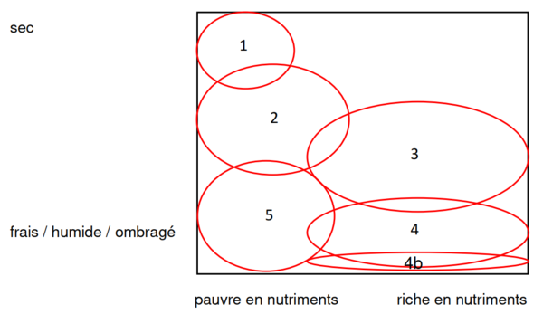 Wiesentypen Neuanlage fr.png